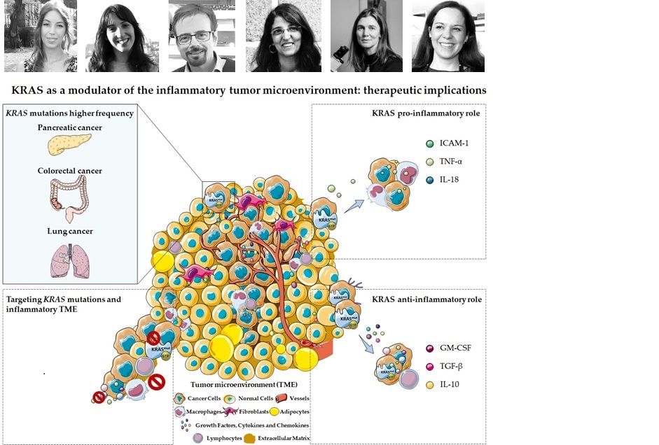 KRAS as a Modulator of the Inflammatory Tumor Microenvironment | ASPIC